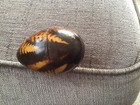 Bild 9 von 11