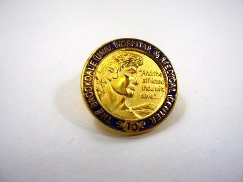 Vintage Brookdale Hospital Medical Center Krankenpflege 10 Jahre Service Pin blau
