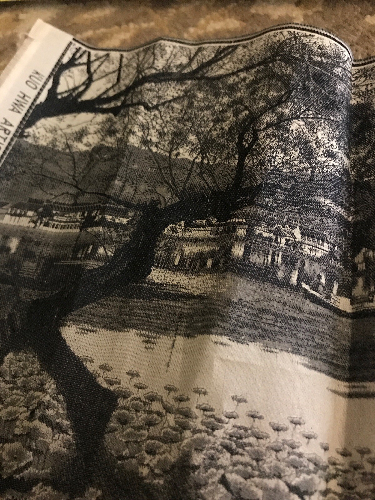 Picture 8 of 11