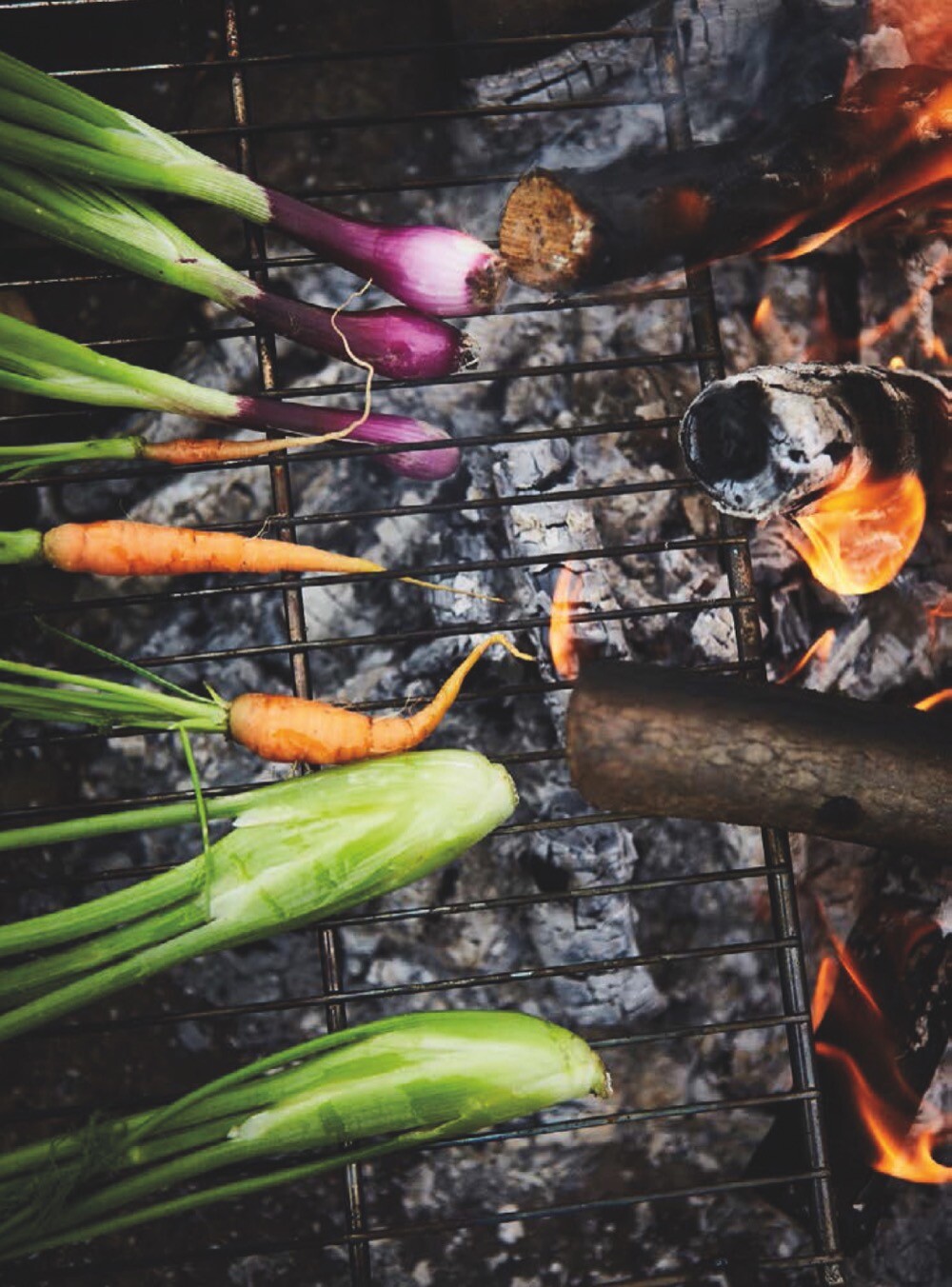 Thumbnail - Norddeutsch By Nature Benjamin Perry