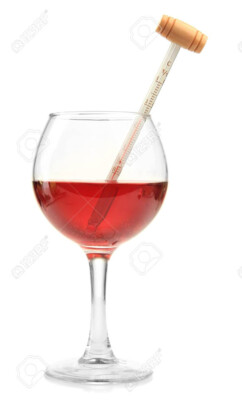 THERMOMETER FÜR WEIN ODER CHAMPAGNER MIT ETUI HOLZBOX FÜR SAMMLER