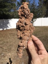 Rare Large 1 Lbs Fulgurite Lightning Stone Florida Rough Raw Mineral