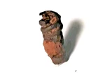 Intact U.S Civil War Relic excavated wiping worm for removing minie balls $6.00
