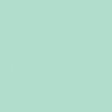 RILEY BLAKE - Confetti Cottons - Hint Of Mint , Sold by the quarter yard