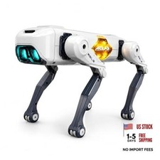 Robot Dog Toy for Kids, Smart Robotic Dog Puppy with Color-Changing LED Eyes 