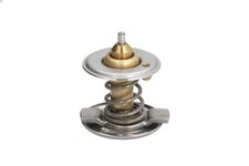 Thermostat Mercedes 209
