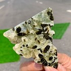 Foto 6 di 18