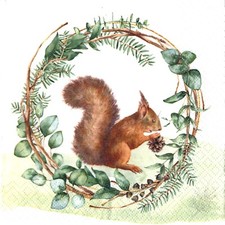 Paquet 20 serviettes en papier écureuil. Pack 20 paper napkins squirrel
