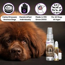 Tibetan Mastiff Relax Aromatherapy  Calms Your Anxious Stressed Dog Naturally