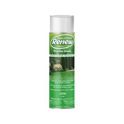  20-602 Grass and Shrub Renew Spray Paint, Pristine Green (17 oz.) 