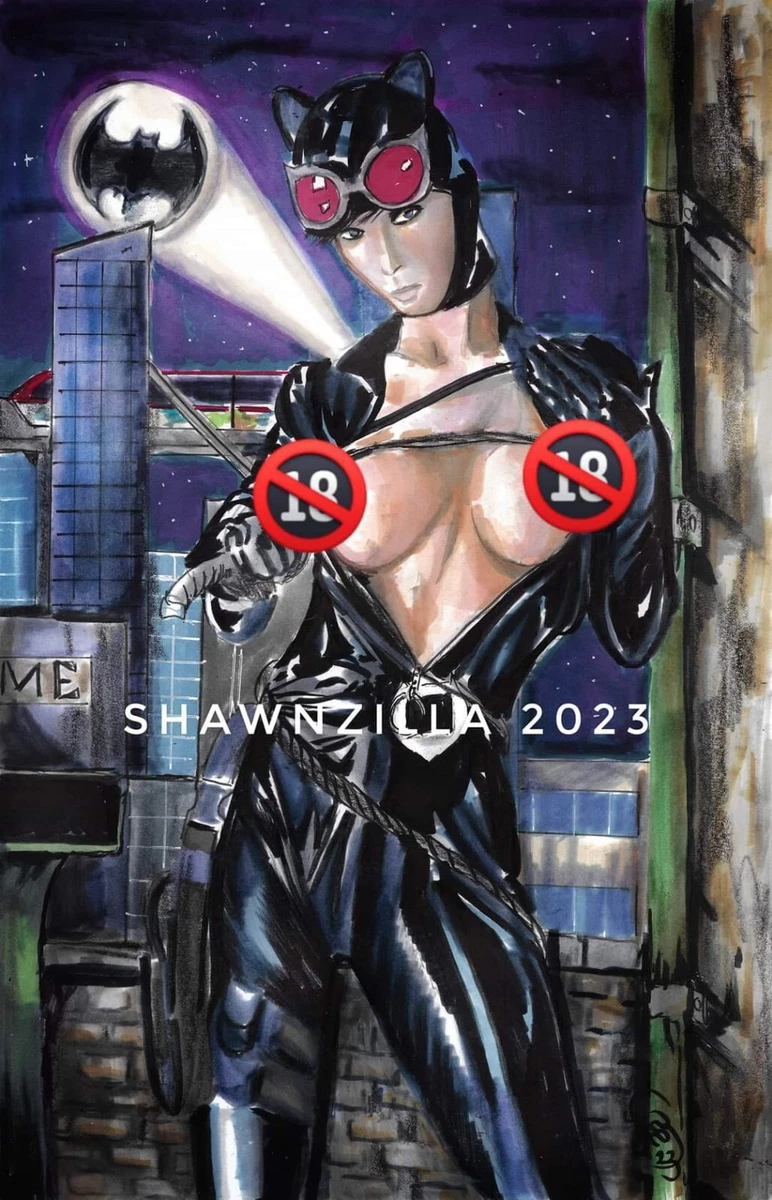 Shawn Howe SEXY Catwoman TOPLESS NUDE PIN-UP ART PRINT - SIGNED 11X17 | eBay