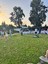 endlesssummer99