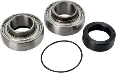 All Balls Kettenkasten Lager- und Dichtungssatz f. Arctic Cat BEARCAT 660