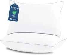 Queen Pillows Set of 2 Cooling Down Alternative Soft Supportive 18x28 Sleeping
