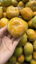 Fresh Persimmon Fuyu Fruit 5LBS