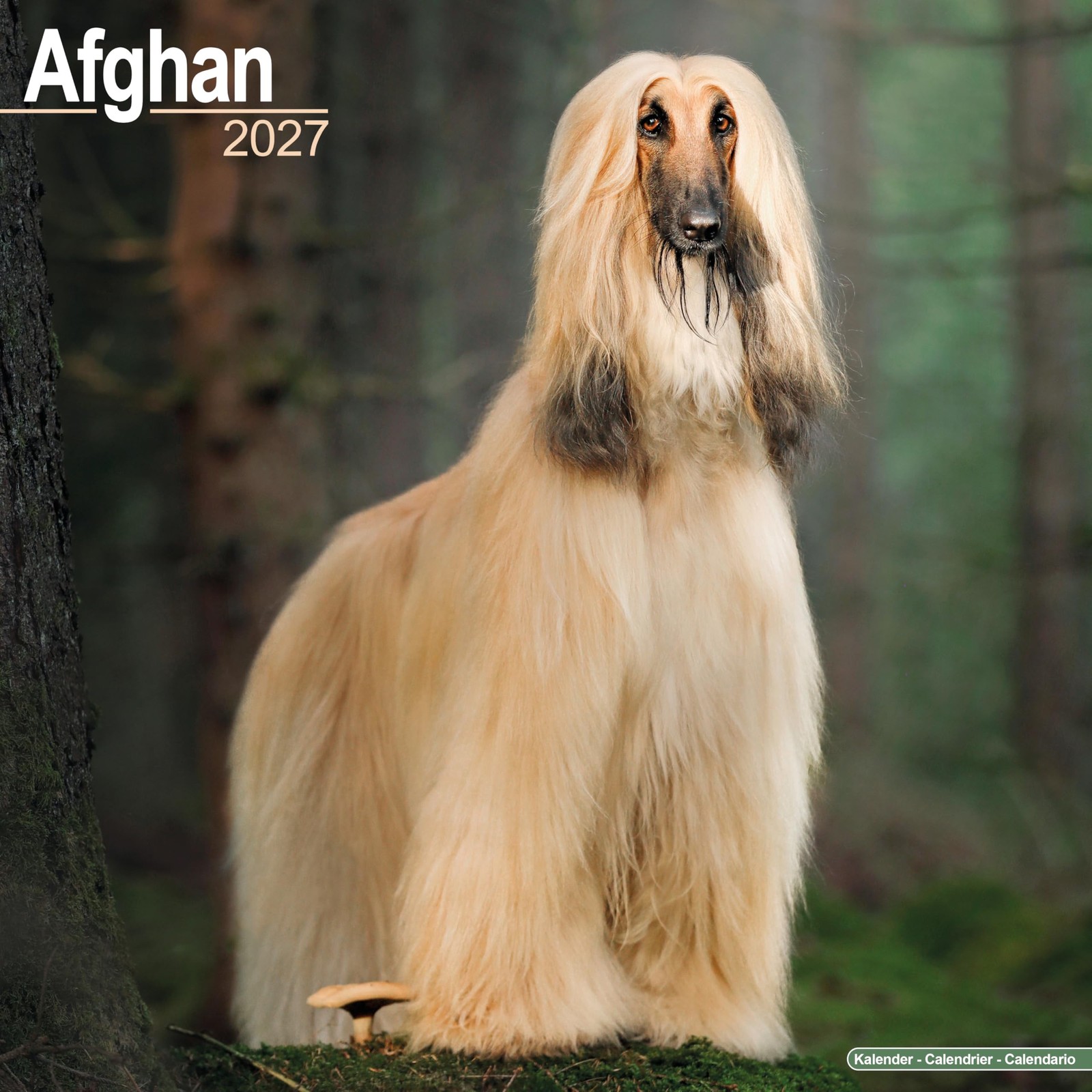 Afghan Calendar 2027 - Image 5