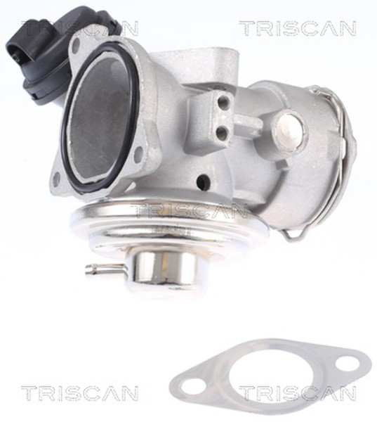 Triscan AGR Ventil 8813 29308 FüR Beetle NEW VW 9C1 1C1 TDI-image