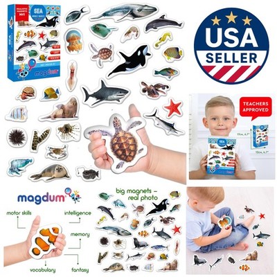 Large 30-Piece Sea Animal Magnets Set - Perfect for Toddler Learning Fun