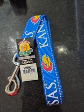 dog leash and collar set large