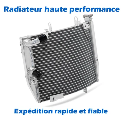 Radiateur Refroidissement pour Triumph 17-24 2023 2022 Street Triple 765 660 - Photo 1/4