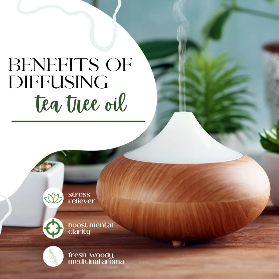 Aceite esencial de árbol de té 100 % puro muchos tamaños envío gratuito - GreenHealth  Foto 2 de 4