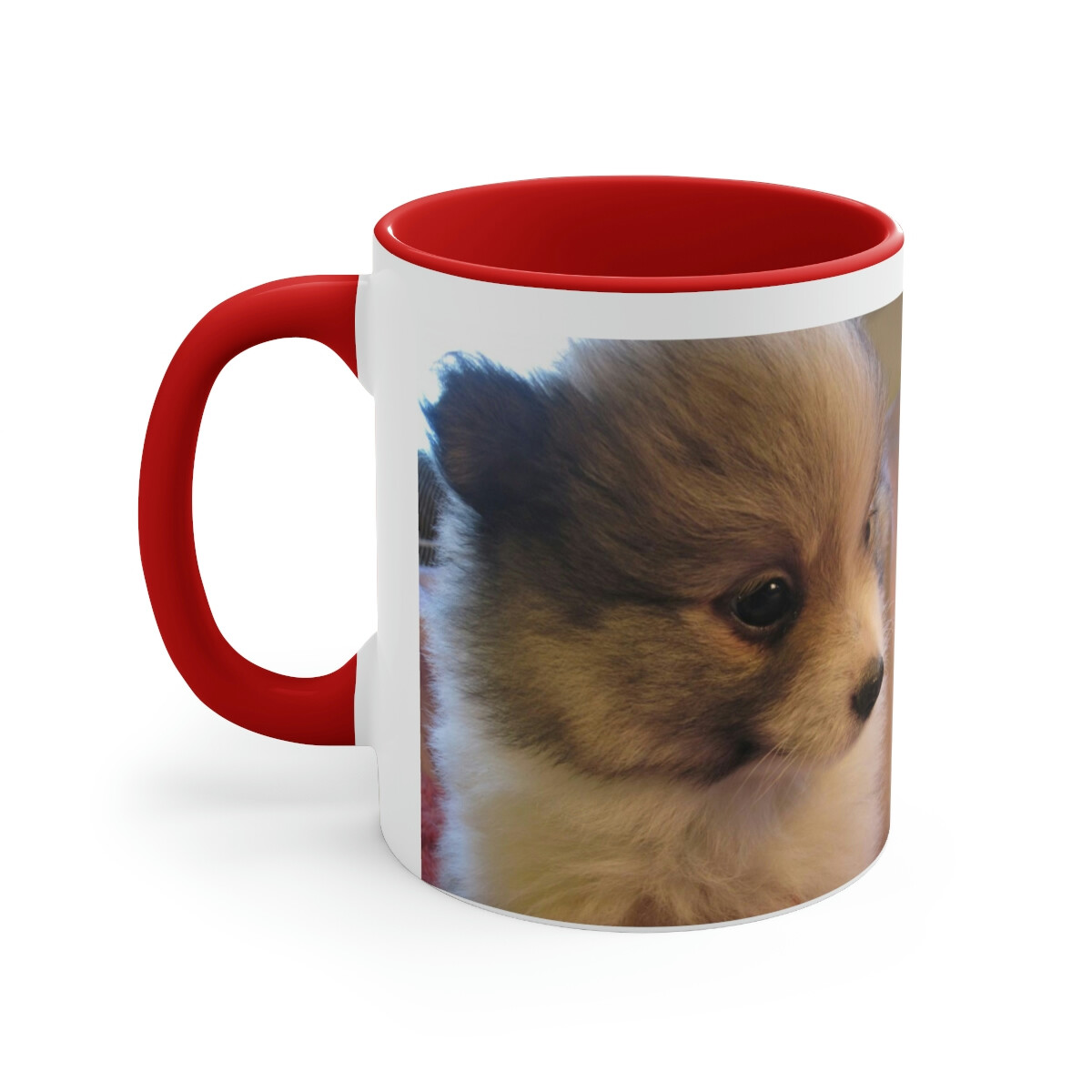 Pomeranian Puppy Accent Coffee Mug, 11oz Several Colors Great for