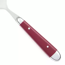 Oneida PALETTE CRANBERRY Stainless Plastic Glossy Silverware CHOICE Flatware