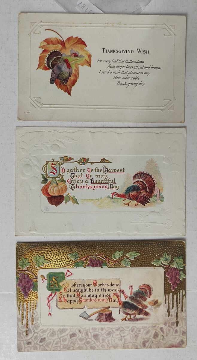 THANKSGIVING DAY GREETINGS-LOT 3 EMBOSSED POSTCARDS-C53-187 THANKSGIVING DAY GREETINGS-LOT 3 EMBOSSED POSTCARDS-C53-187