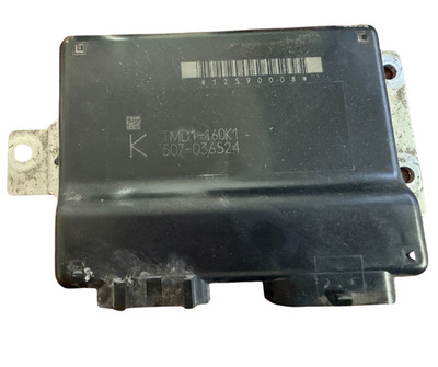 THROTTLE CONTROL MODULE Escalade 2006 12590008 TMD1-160K1 OEM 06-07 Silverado 