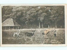 W-Border BAD HOMBURG VOR DER HOHE Hochtaunuskreis - Hesse Germany i4488