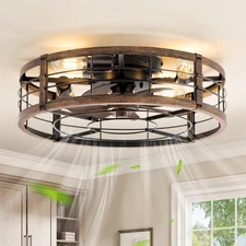 20" Caged Ceiling Fan with Light and Remote, Low Profile Flush Mount Fandelie...