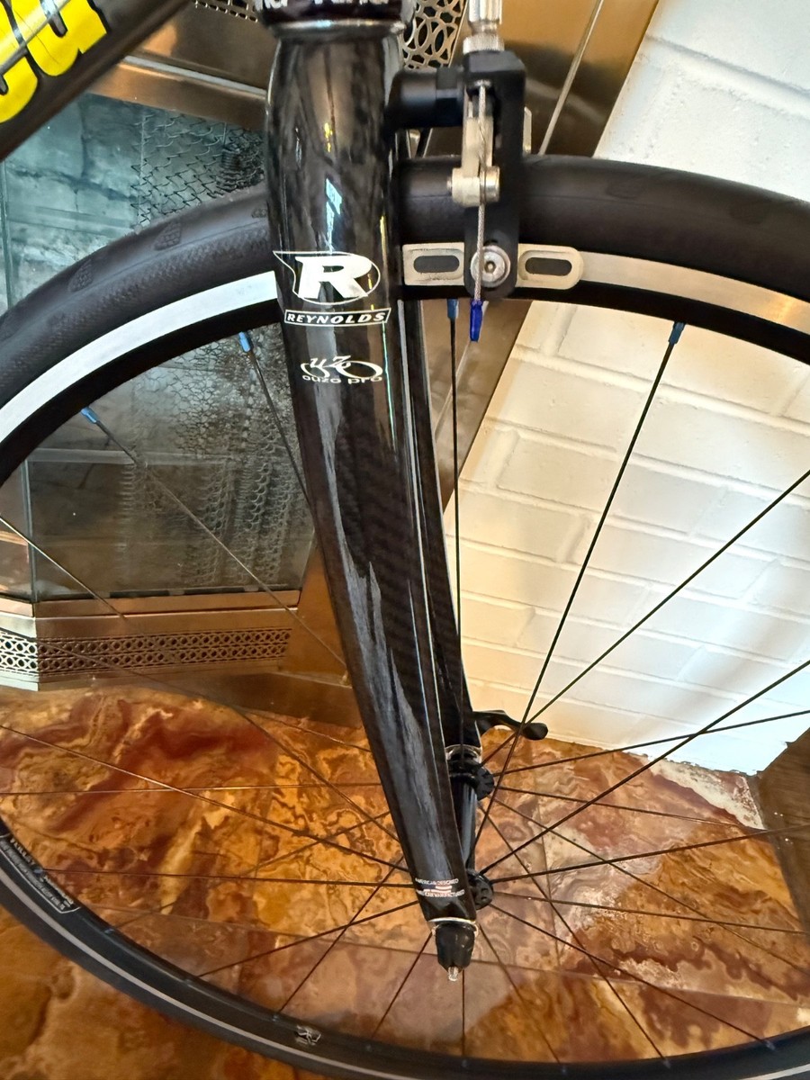 Litespeed Catalyst Titanium Road Bike 60 | eBay