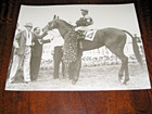 11 X 14 -- Photo of Count Turf in the 1951 Kentucky Derby Winner Circle — photo 1