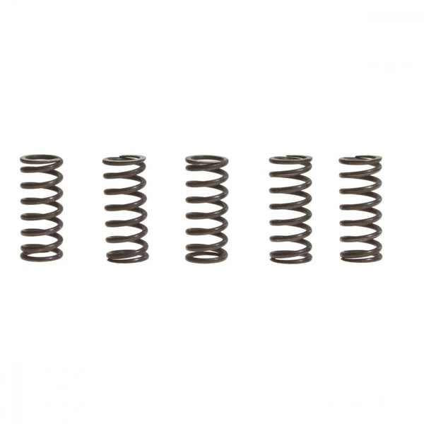 Kupplung Federn Satz VerstäRkt TRW 5 Stk MEF142-5 FüR Yamaha XT 125 R 2005-2012-image
