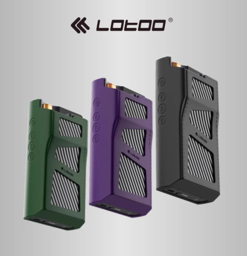 未使用 Lotoo Paw Gold Touch 純正レザーケース Lotoo paw gold touch. Handmade leather case. LOTOO PAW GOLD TOUCH