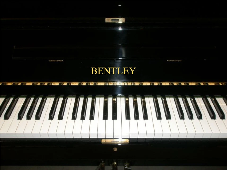 Bentley Metallic Gold Klavier Name Marke Vinyl Transfer Aufkleber Aufkleber