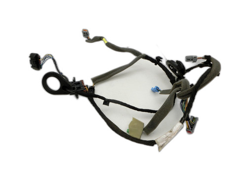 Rear door wiring loom