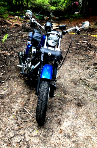 1977 Harley-Davidson Sportster - Picture 4 of 10