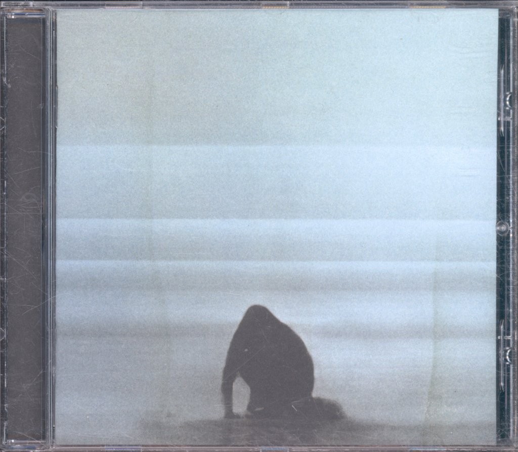 Foals What Went Down CD Europe Transgressive 2015 0825646075010