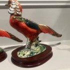 Pair of Vintage Ardco Hand Painted Pheasant Bird Statues Made in Japan — photo 2