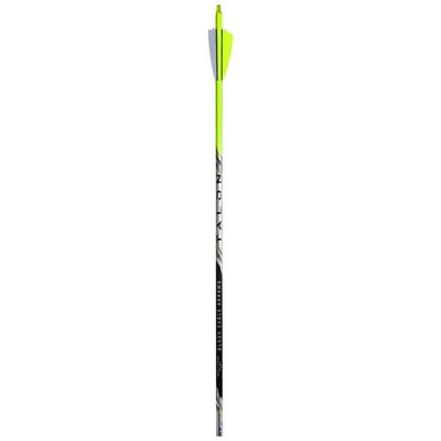 Black Eagle Talon 2.5'' Shield Cut Arrows 6 Pack .003''-500 (33877)