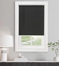 Cordless Light Filtering Mini Blind - 24 Inch Width, 64 Inch Length, 1" Slat P5