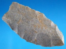 Very Fine Authentic Clovis Point Bourbon CO KY SCA COA Arrowheads