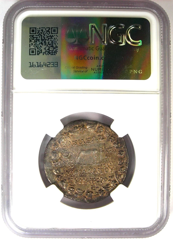 Moneda póntica Mitrídates VI AR Tetradracma 76 aC - Certificada NGC Elección XF (EF) Foto 3 de 4