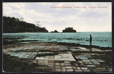 Pirate´s Bay /Tasman Peninsula, Tesselated Pavement, Ansichtskarte 
