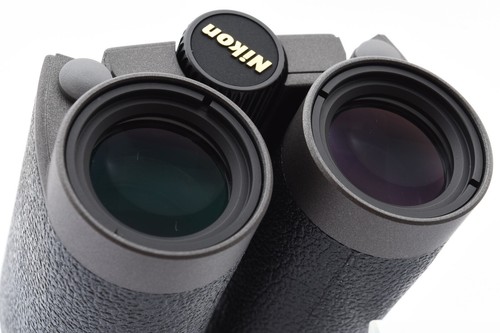 RARE [UNUSED] Nikon Binoculars 8x20 6.8° HG L DCF Waterproof From JAPAN - Picture 2 of 13