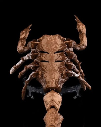 Scorpion Grasp Halloween Mask - Bild 2 von 7