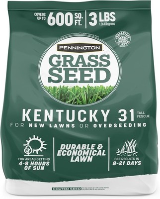 Pennington 100% Kentucky 31 Tall Fescue Penkoted Grass Seed 3 lb 3 LB, Green 