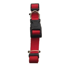 Medium Size Red Dog Collar- New 