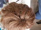 Bild 3 von 13